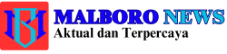 Malboro News