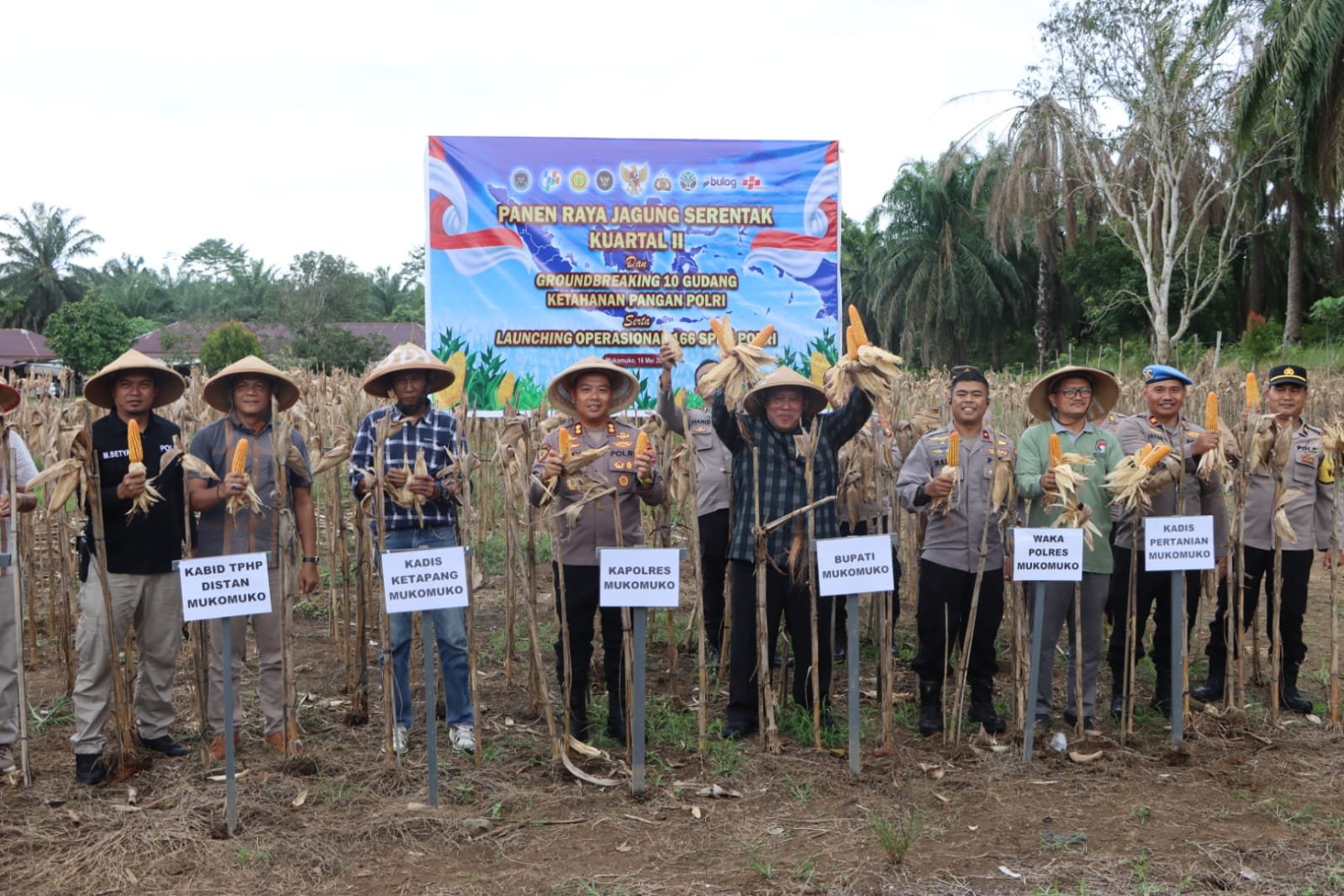 Polres Muko-Muko Panen Raya Jagung Serentak Kuartal II dan Groundbreaking 10 Gudang Ketahanan Pangan Polri Serta Launching Operasional 166 SPPG Polri