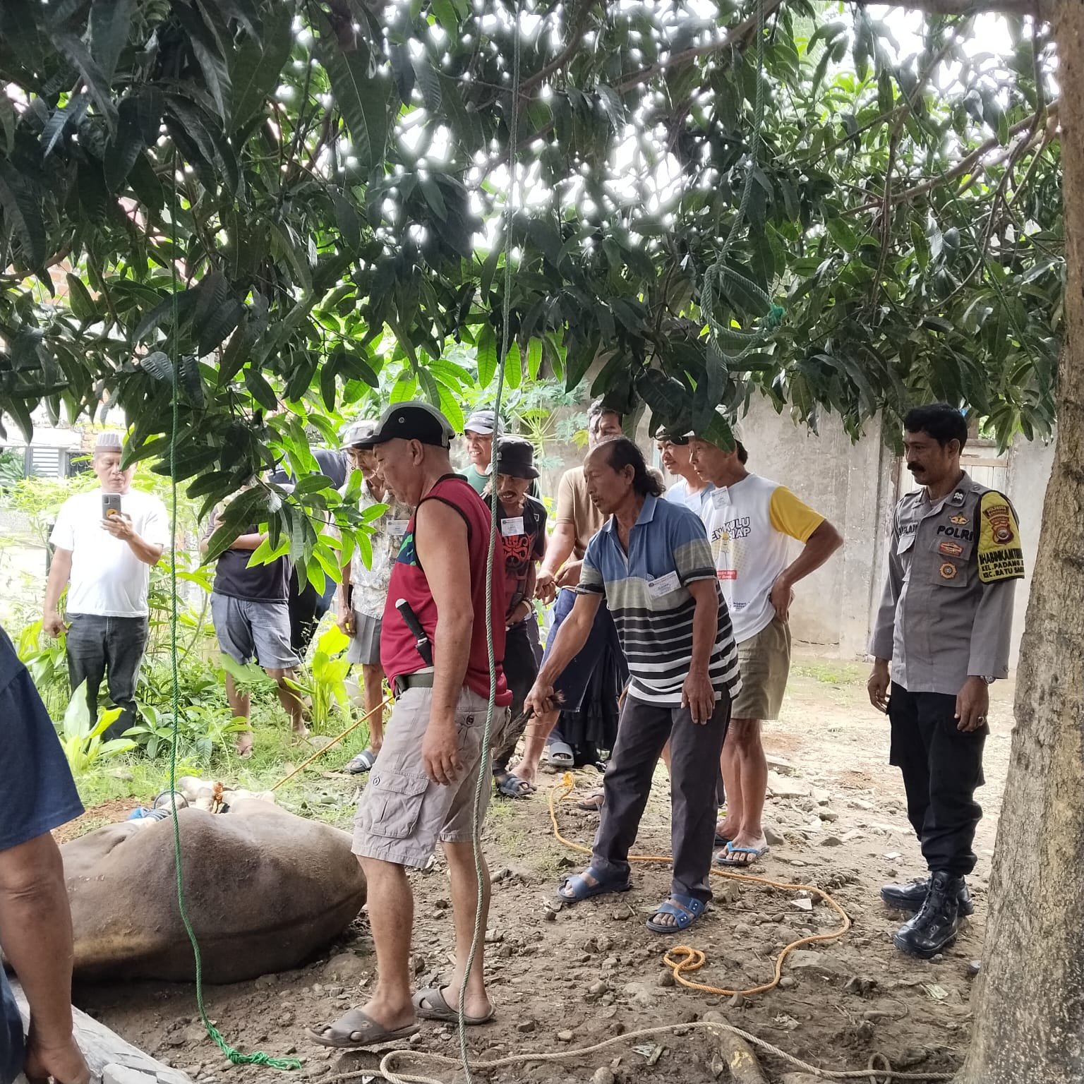 Bhabinkamtibmas Kelurahan Padang Jati Monitoring dan Pengamanan Pemotongan Hewan Kurban Idul Adha 1447 H