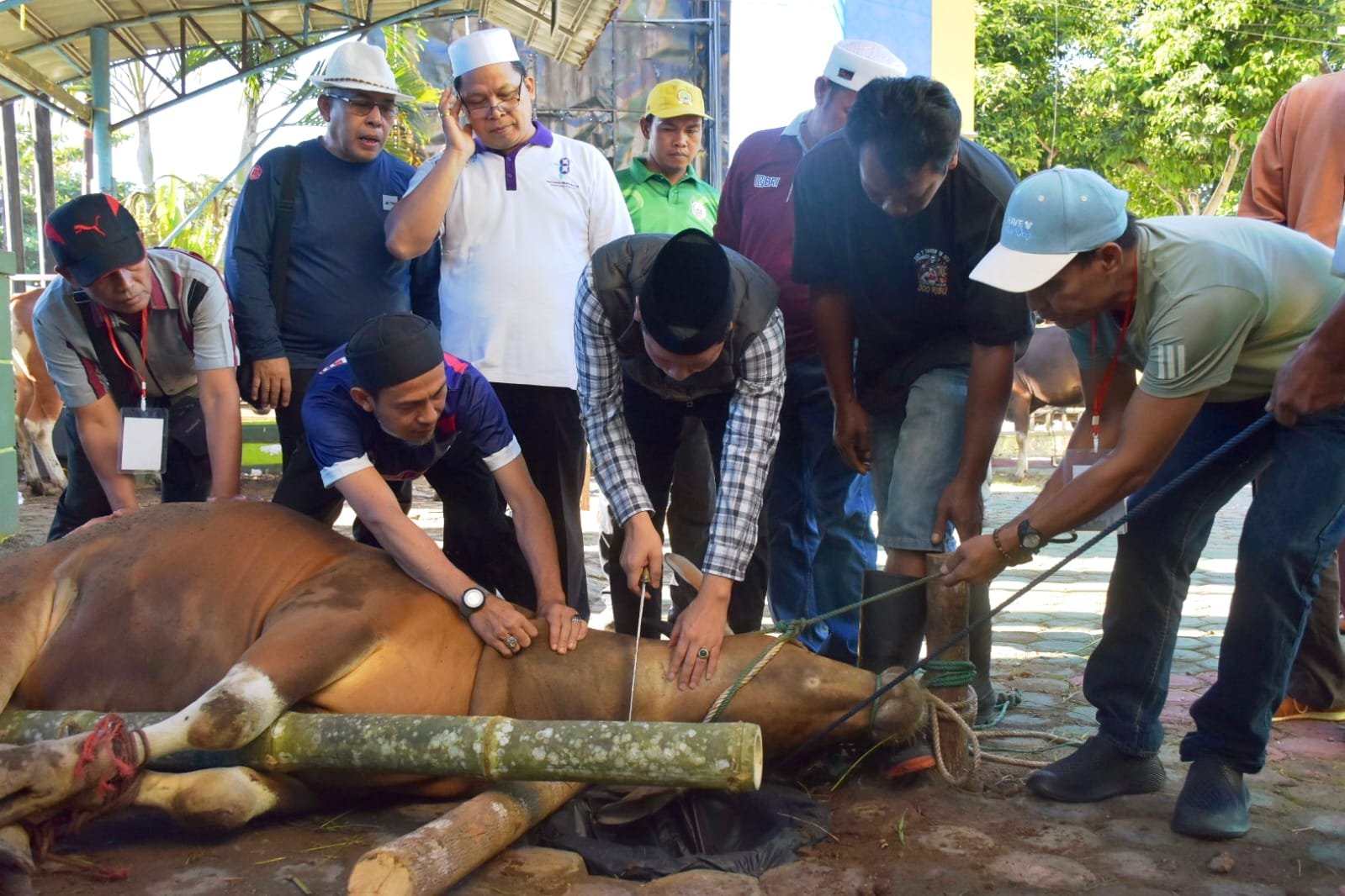 Potong 17 Ekor Hewan Kurban, Kakanwil: ‘Momentum Membangun Solidaritas dan Menanamkan Nilai Berbagi’