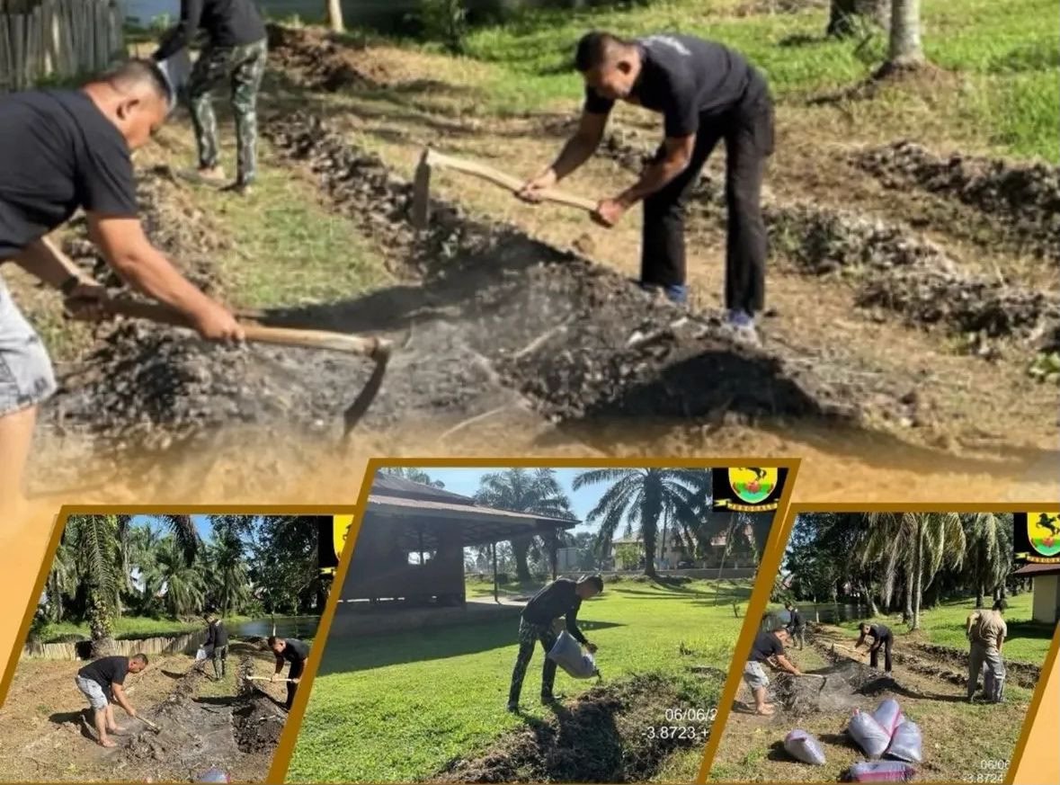 Satbrimob Polda Bengkulu Perkuat Ketahanan Pangan Melalui Perawatan dan Pemupukan Lahan Jagung